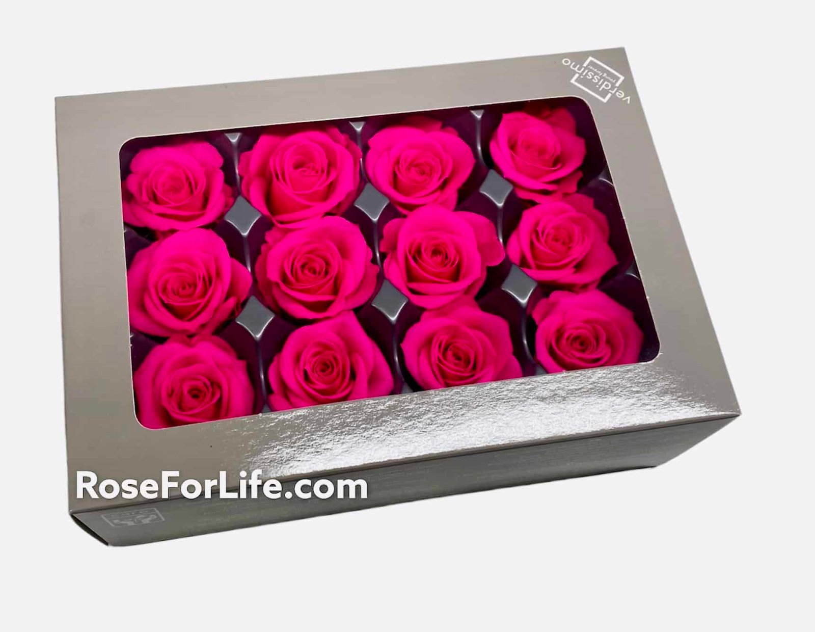 12 Rose Stabilizzate Fucsia Mini, 3,5/4,5cm Verdissimo