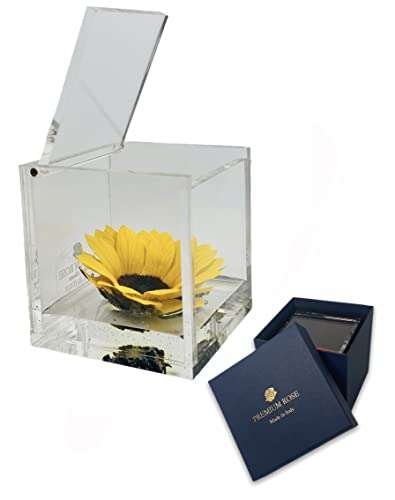 S1888 Cubo Luxury Girasole Stabilizzato Vero in Cubo più Spesso Luxury 8cm e Scatola Regalo Lusso, Cubo Girasole stabilizzato, Idea Regalo per lei, Natale