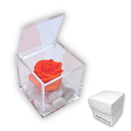 PREMIUM ROSE - Cubo Rosa Stabilizzata 6 cm con Marmo di Carrara Made In Italy - Rosa Eterna Stabilizzata Idea Compleanni e Celebrazione Nuovi Traguardi - Arancione 1066