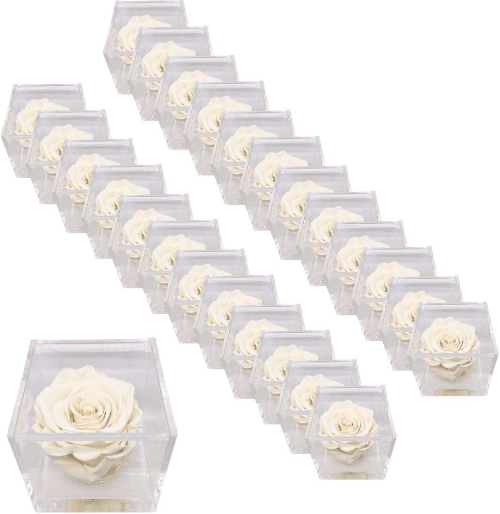 PremiumRose 25 Cubi Rosa Bianca Stabilizzata e Profumata da 5 cm con Rosa Eterna Vera, Idea Regalo Mamma, Fidanzata, Amica, Idea
