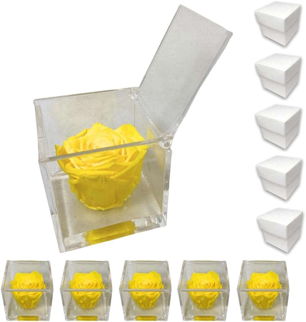 PremiumRose 5 Cubi Rosa Gialla Stabilizzata e Profumata da 8 cm con Rosa Eterna Vera, Idea Regalo Mamma, Fidanzata, Amica, Idea