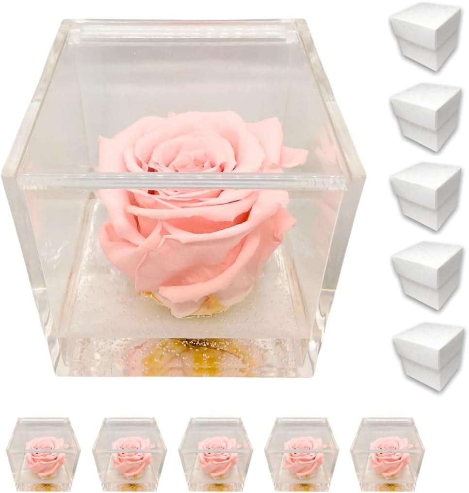 PremiumRose 5 Cubi Rosa Rosa Stabilizzata e Profumata da 6 cm con Rosa Eterna Vera, Idea Regalo Mamma, Fidanzata, Amica, Idea