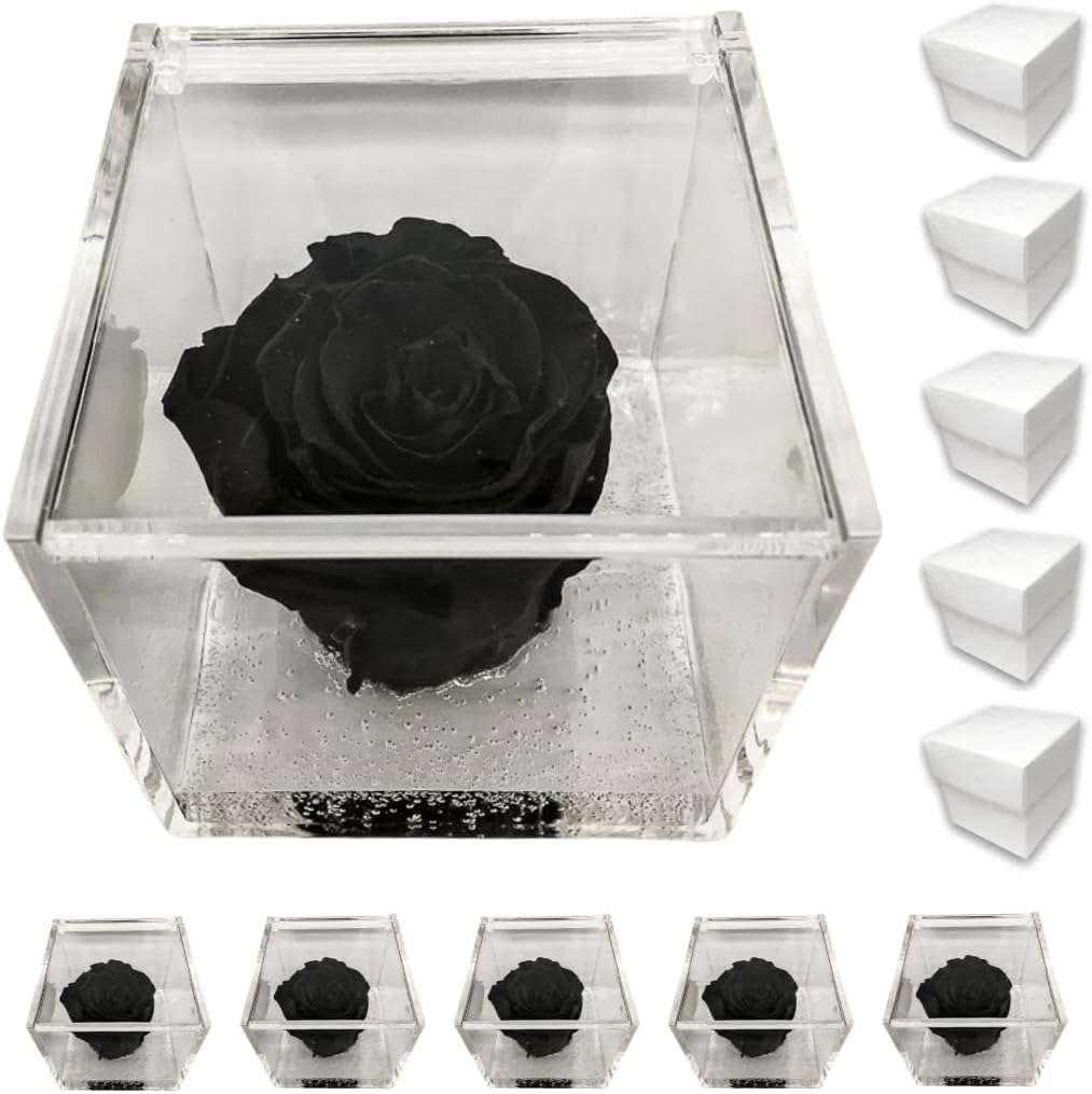 PremiumRose 5 Cubi Rosa Nera Stabilizzata e Profumata da 8 cm con Rosa Eterna Vera, Idea Regalo Mamma, Fidanzata, Amica, Idea