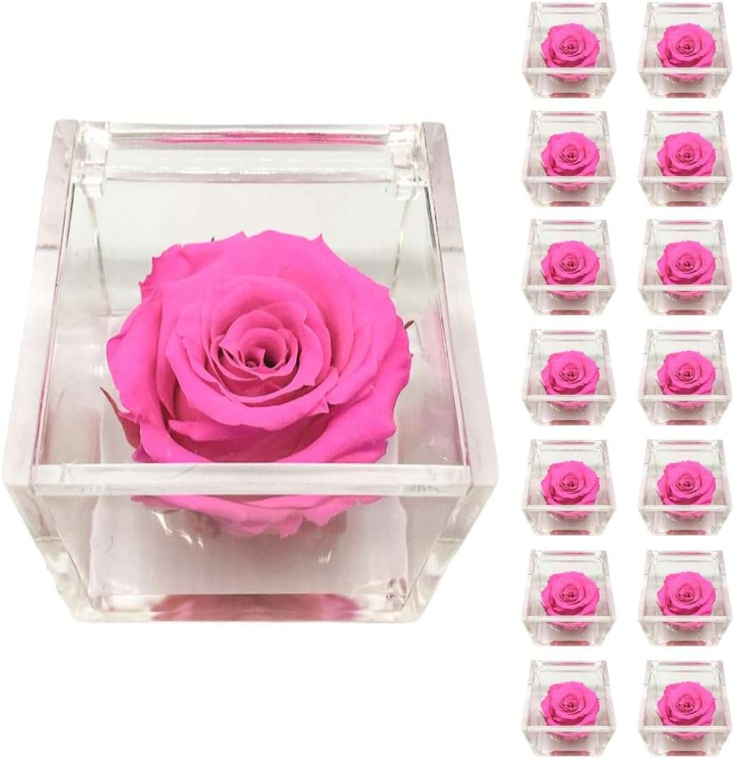 PremiumRose 15 Cubi Rosa Fucsia Stabilizzata e Profumata da 8 cm con Rosa Eterna Vera, Idea Regalo Mamma, Fidanzata, Amica, Idea
