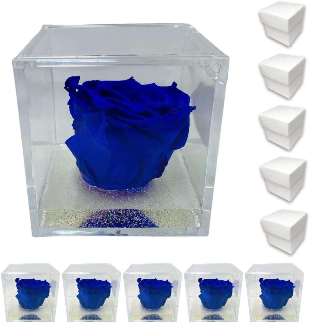 PremiumRose 5 Cubi Rosa Blu Stabilizzata e Profumata da 6 cm con Rosa Eterna Vera, Idea Regalo Mamma, Fidanzata, Amica, Idea