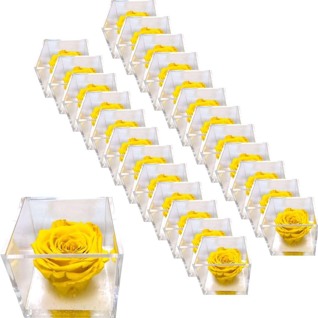 PremiumRose 25 Cubi Rosa Gialla Stabilizzata e Profumata da 5 cm con Rosa Eterna Vera, Idea Regalo Mamma, Fidanzata, Amica, Idea