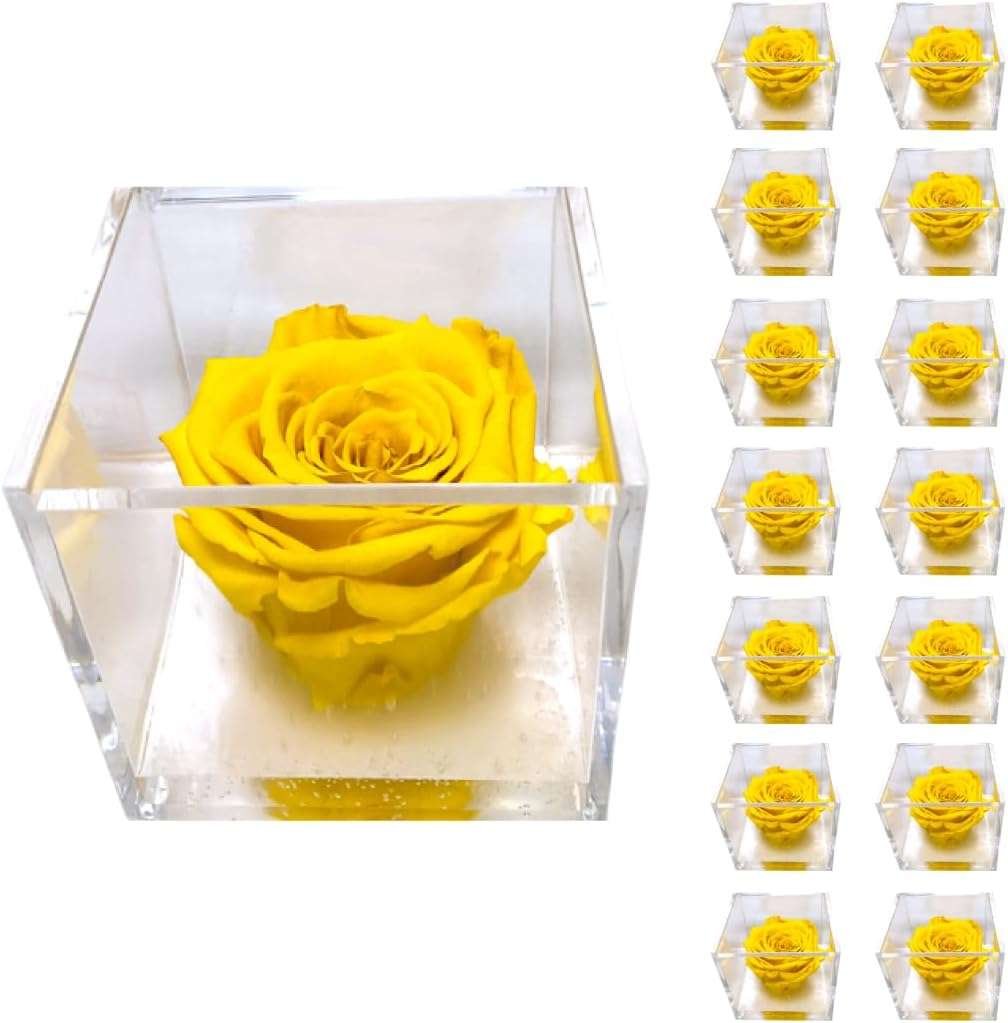 PremiumRose 15 Cubi Rosa Gialla Stabilizzata e Profumata da 6 cm con Rosa Eterna Vera, Idea Regalo Mamma, Fidanzata, Amica, Idea
