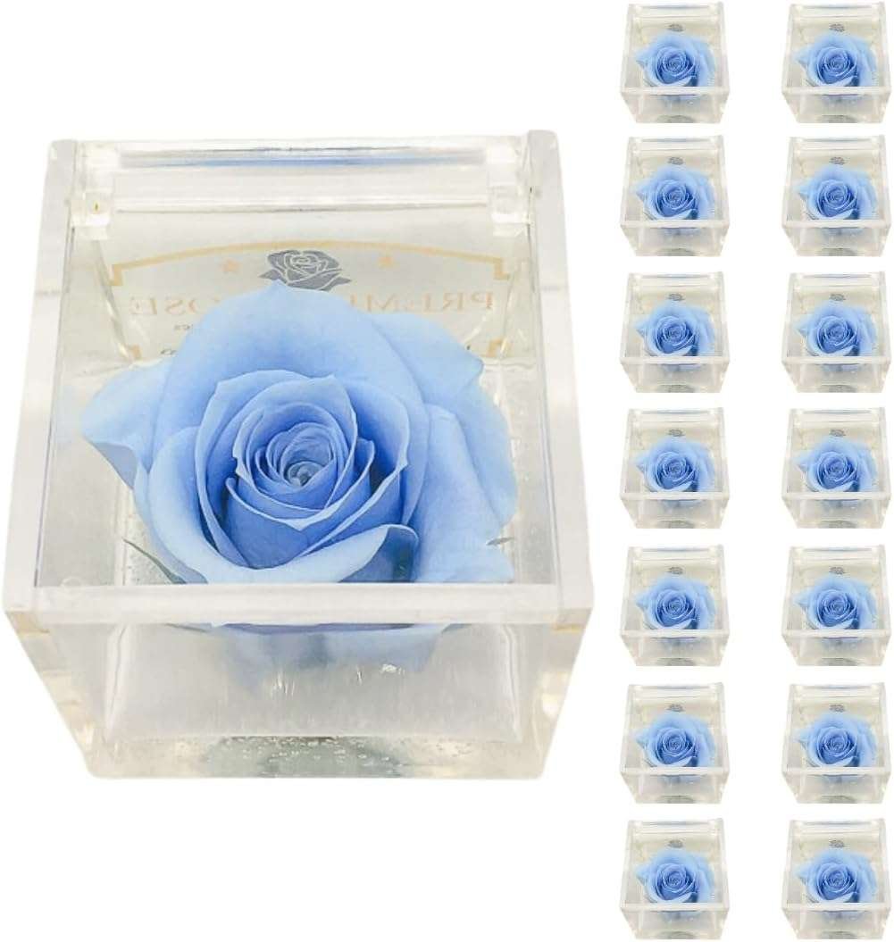 PremiumRose 15 Cubi Rosa Azzurra Stabilizzata e Profumata da 6 cm con Rosa Eterna Vera, Idea Regalo Mamma, Fidanzata, Amica,