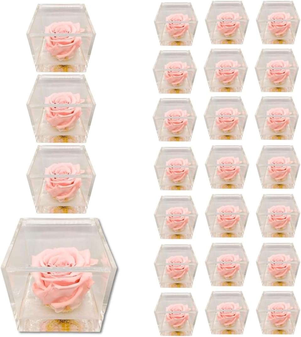 PremiumRose 25 Cubi Rosa Rosa Stabilizzata e Profumata da 8 cm con Rosa Eterna Vera, Idea Regalo Mamma, Fidanzata, Amica, Idea