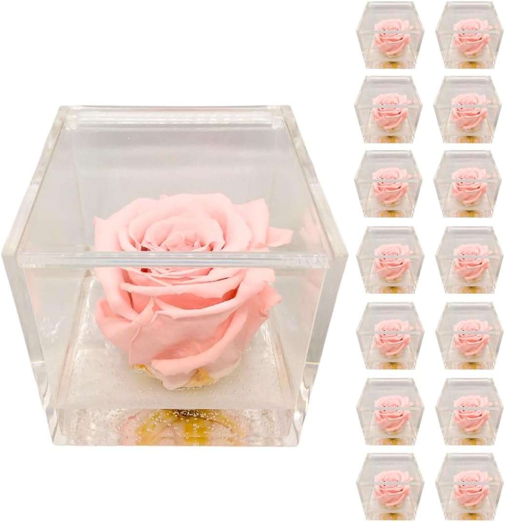 PremiumRose 15 Cubi Rosa Rosa Stabilizzata e Profumata da 8 cm con Rosa Eterna Vera, Idea Regalo Mamma, Fidanzata, Amica, Idea
