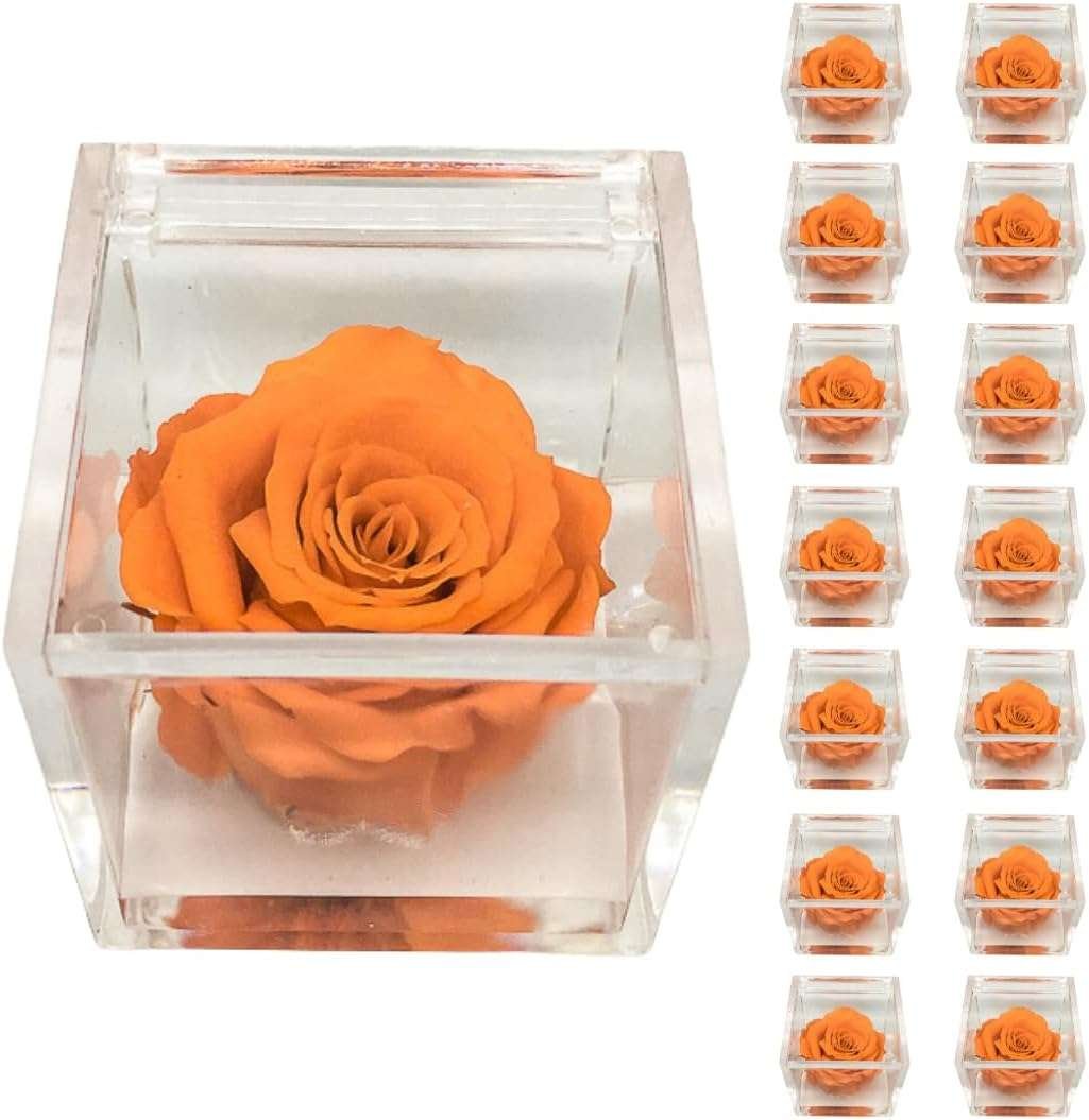 PremiumRose 15 Cubi Arancione Rossa Stabilizzata e Profumata da 5 cm con Rosa Eterna Vera, Idea Regalo Mamma, Fidanzata, Amica,