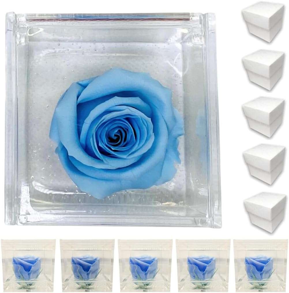 PremiumRose 5 Cubi Rosa Azzurra Stabilizzata e Profumata da 8 cm con Rosa Eterna Vera, Idea Regalo Mamma, Fidanzata, Amica, Idea