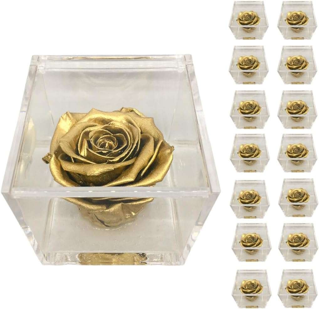 PremiumRose 15 Cubi Rosa Oro Stabilizzata e Profumata da 5 cm con Rosa Eterna Vera, Idea Regalo Mamma, Fidanzata, Amica, Idea