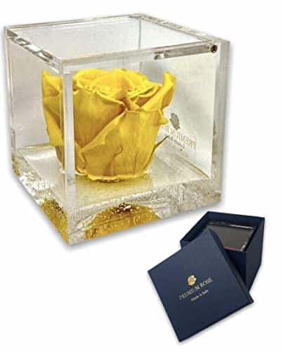 S 1083 Luxury Rose Stabilizzate Vere in Cubo più Spesso Luxury 8cm e Scatola Regalo Lusso, Cubo Rosa stabilizzata Gialla, Rosa eterna