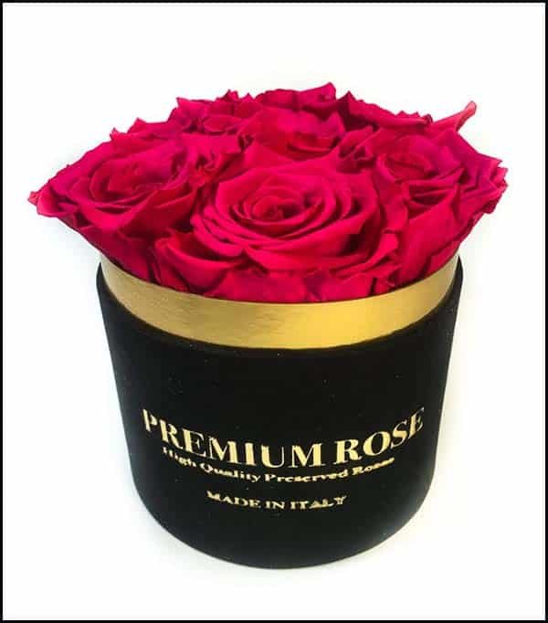Scatola Tonda, Cilindro in Velluto 7 Rose stabilizzate Fucsia