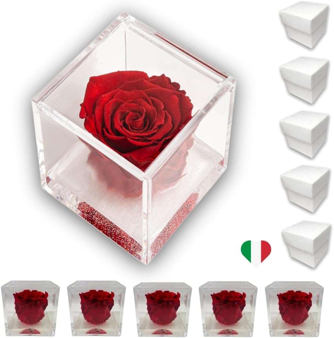 PremiumRose 5 Cubi Rosa Rossa Stabilizzata e Profumata da 8 cm con Rosa Eterna Vera, Idea Regalo Mamma, Fidanzata, Amica, Idea
