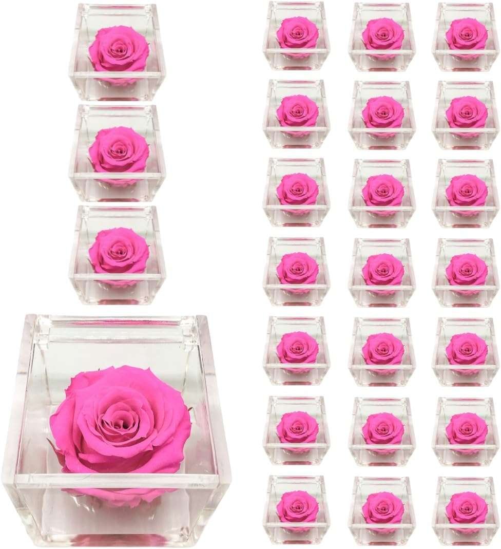 PremiumRose 25 Cubi Rosa Fucsia Stabilizzata e Profumata da 8 cm con Rosa Eterna Vera, Idea Regalo Mamma, Fidanzata, Amica, Idea
