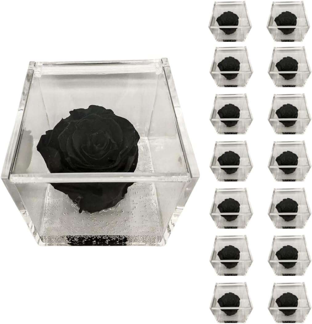 PremiumRose 15 Cubi Rosa Nera Stabilizzata e Profumata da 8 cm con Rosa Eterna Vera, Idea Regalo Mamma, Fidanzata, Amica, Idea
