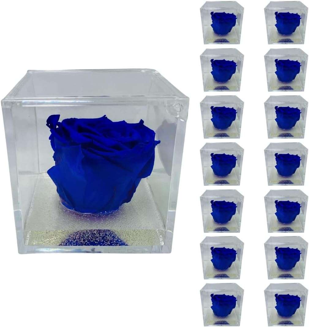 PremiumRose 15 Cubi Rosa Blu Stabilizzata e Profumata da 5 cm con Rosa Eterna Vera, Idea Regalo Mamma, Fidanzata, Amica, Idea
