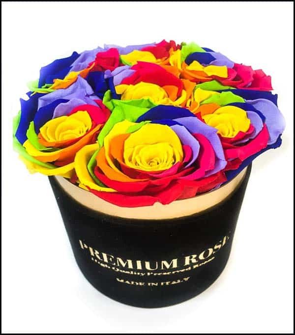 Box 7 Rose Multicolor rainbow in scatola tonda